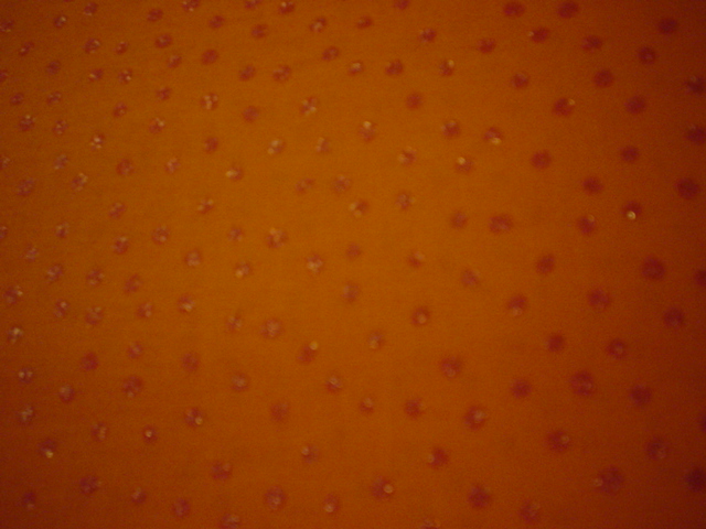 hw orange glitter dots
